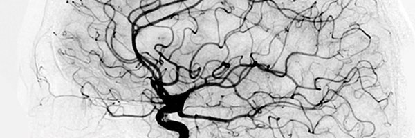 aemaz100 Profile Banner