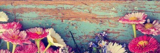 suiremy's profile banner image