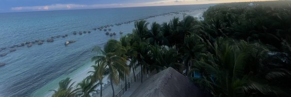 ShereenWalimia Profile Banner