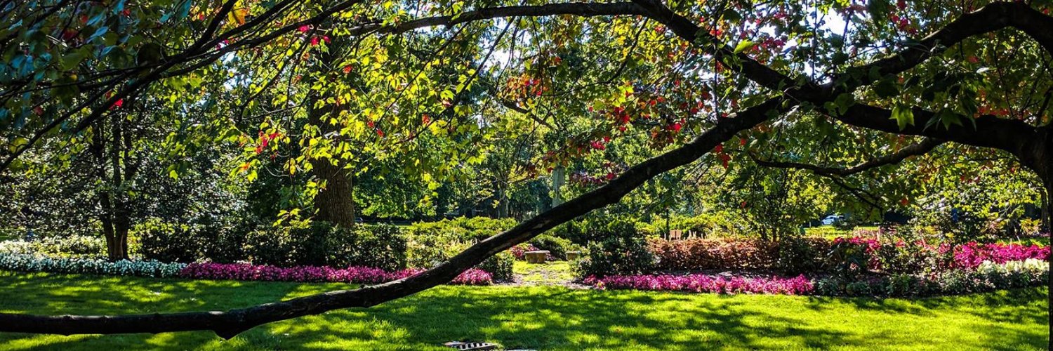 Iftekhar Uddin, MD MSPH banner