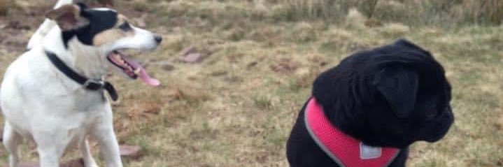 hannah_batch's profile banner image