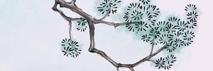 NoBond98's profile banner image