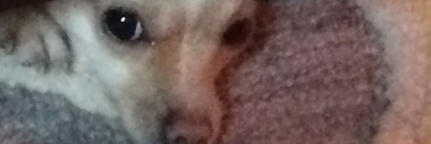 adktrixie's profile banner image