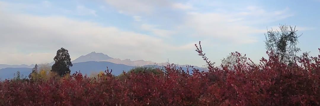 Antonio Molina banner