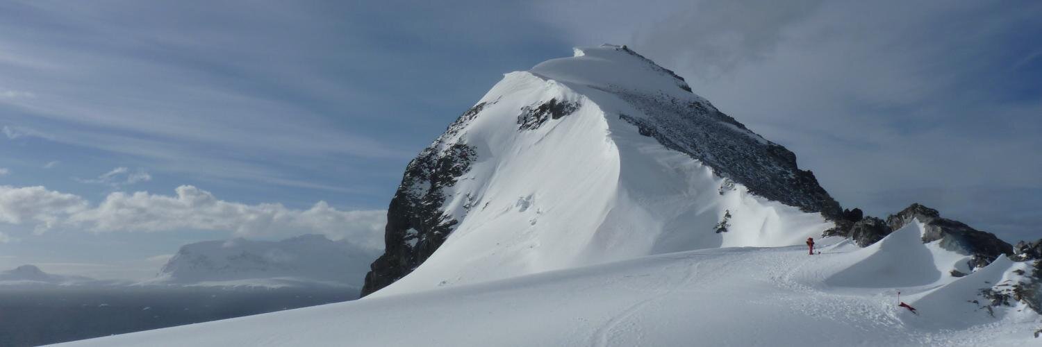 Dr Hanne Nielsen banner