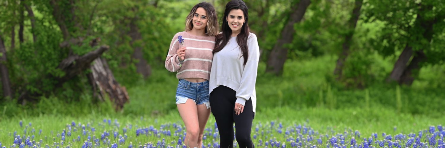 NicoleLSellsHou's profile banner image