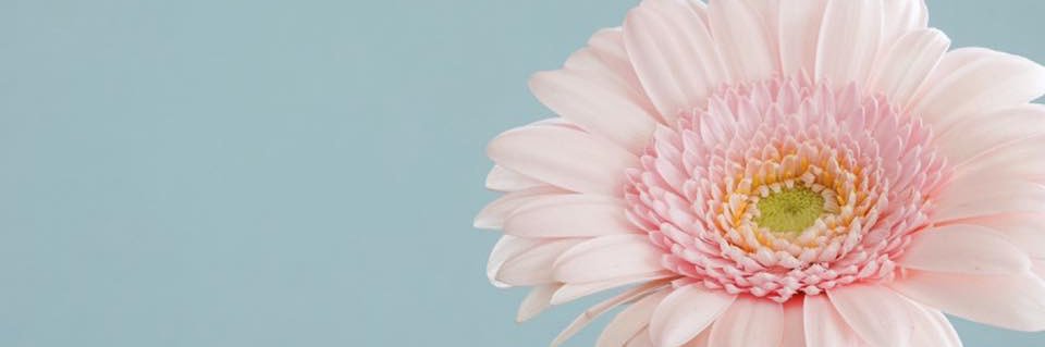 beluacos's profile banner image