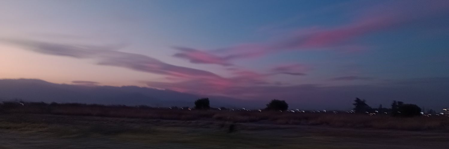 avarialejo's profile banner image