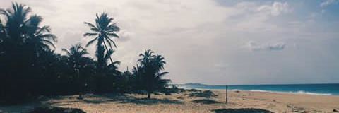 Vianny Velasquez. banner