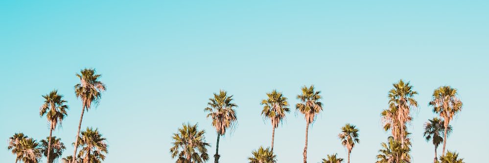 Breanne_02's profile banner image