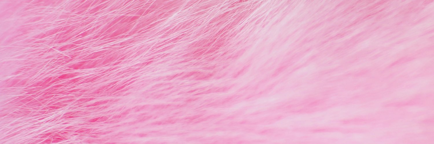 ⭐️Bing DinoDog🌱's banner