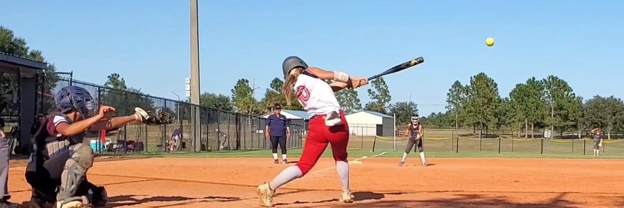 Avery Parm (A.P.) averyp040407@gmail.com banner