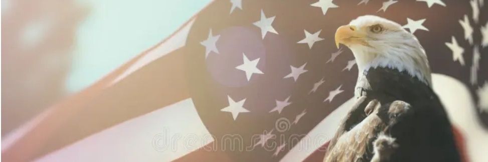 Matt 🇺🇸 Cpt. America Patriot banner