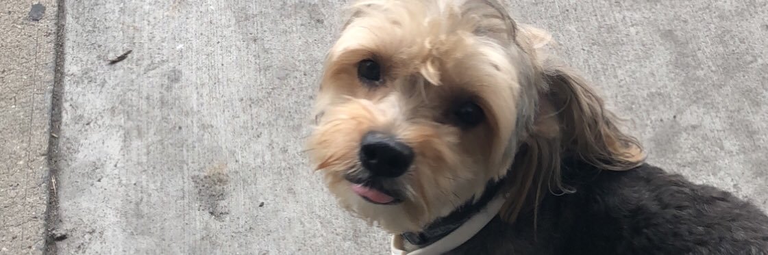 DESTslickwithit's profile banner image