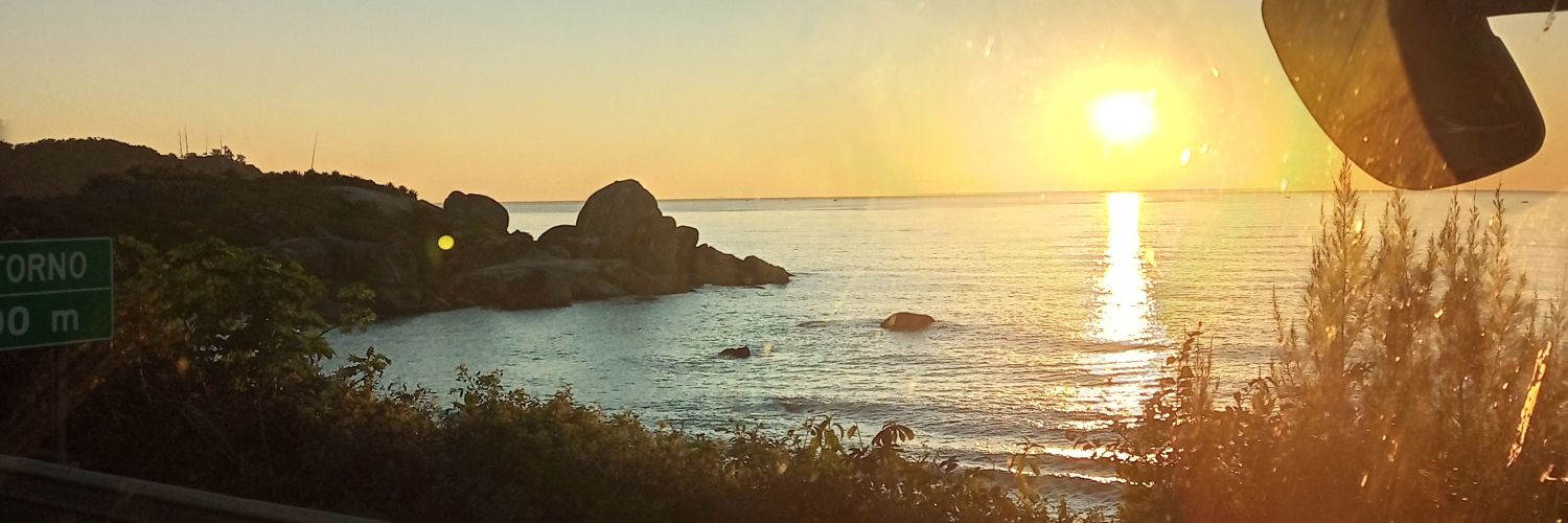 Rodrigokoche's profile banner image