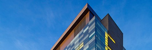 Daniel G. Di Luca banner