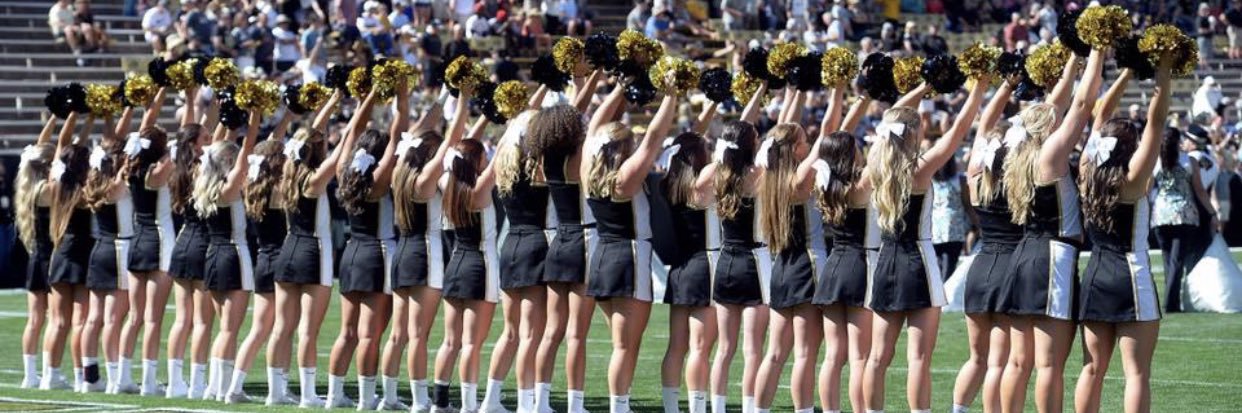 MadisonBrewer13's profile banner image