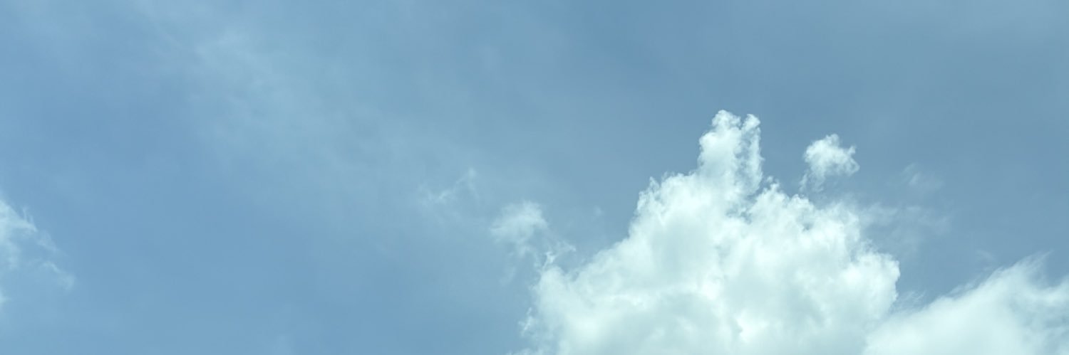 conejiroja's profile banner image