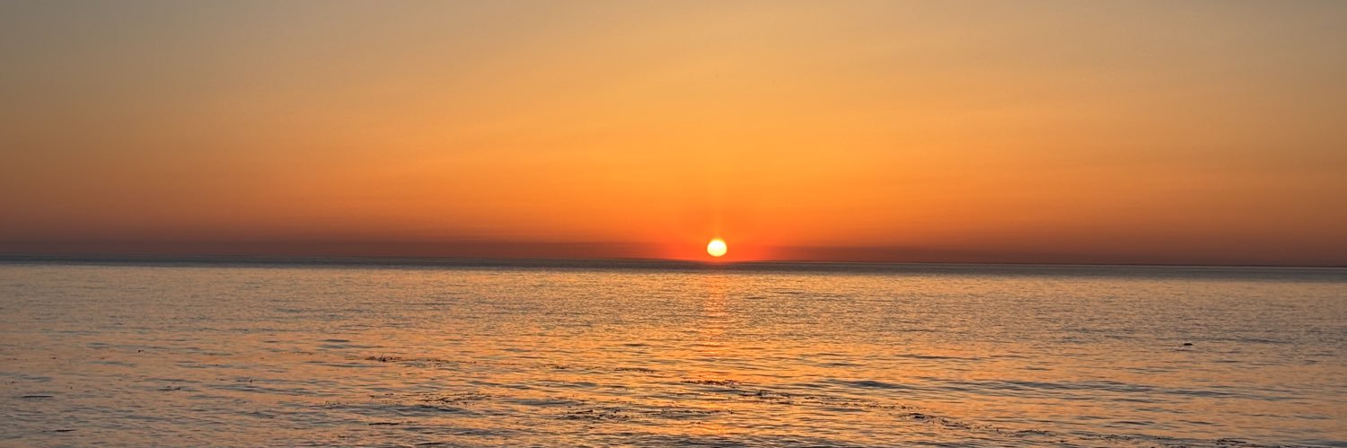 Pacitalozano's profile banner image