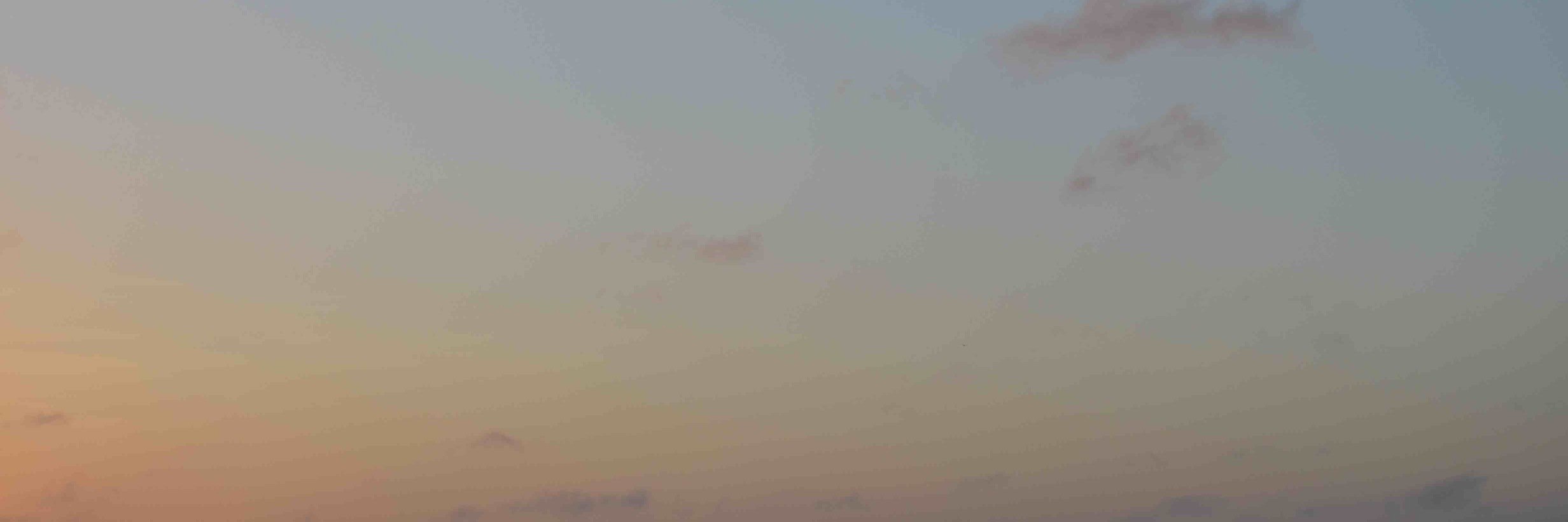 Morgan Durrant banner