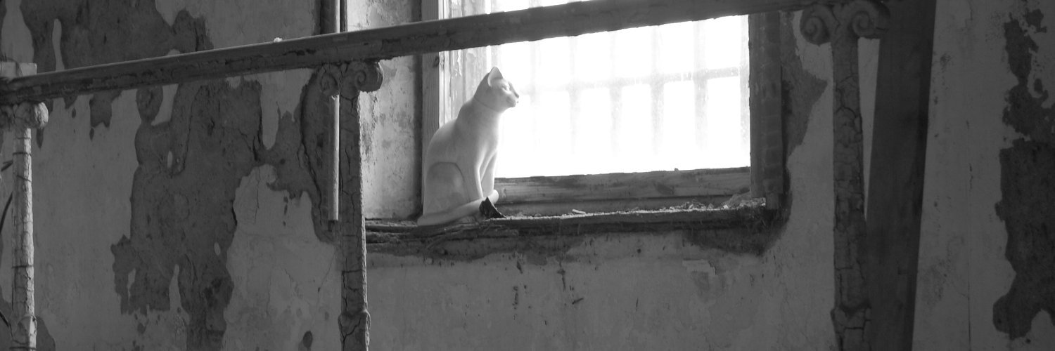 fscorpio's profile banner image