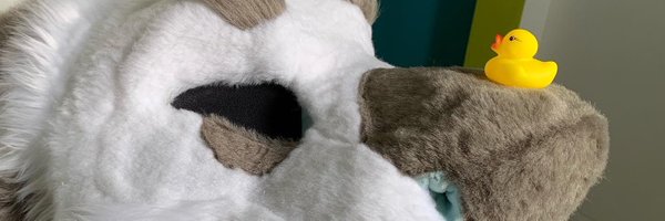 voydcat Profile Banner
