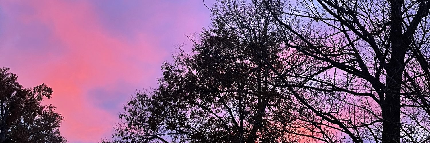 mk_haddock's profile banner image