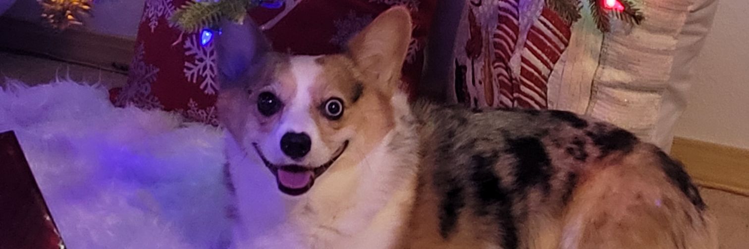 rupertsue1's profile banner image