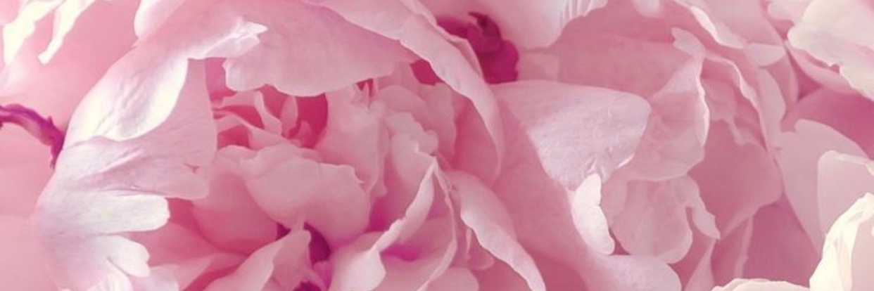 TonyaSG's profile banner image