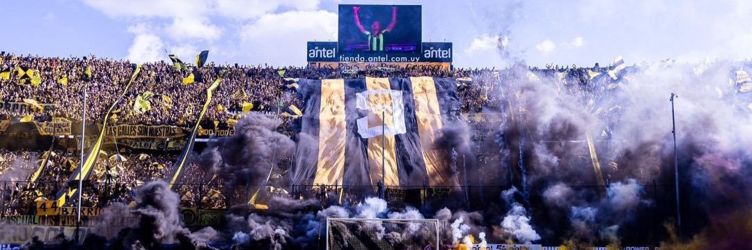 Seba banner