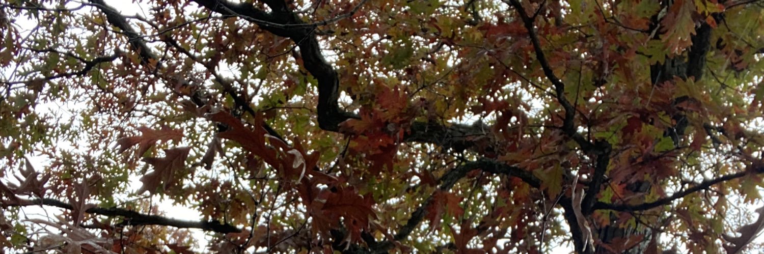 Barraza_123's profile banner image