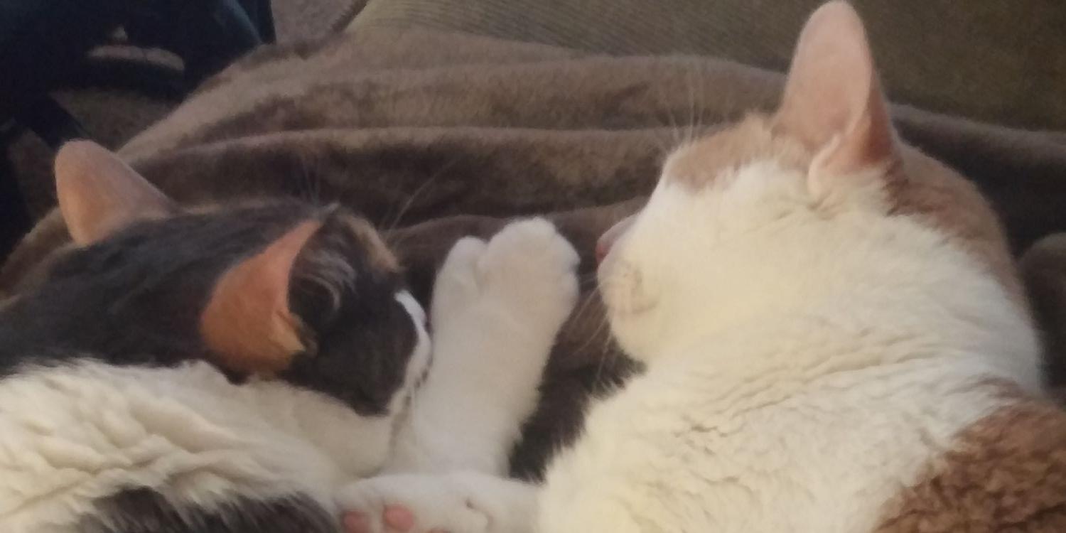 brittt2191's profile banner image
