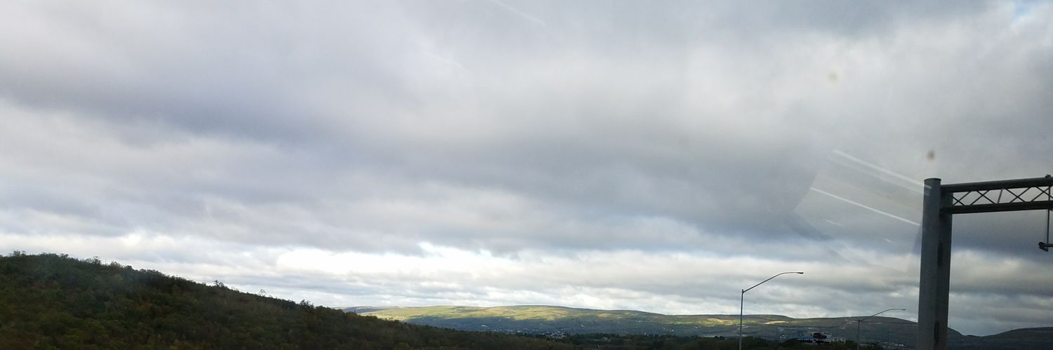 rdblynn's profile banner image
