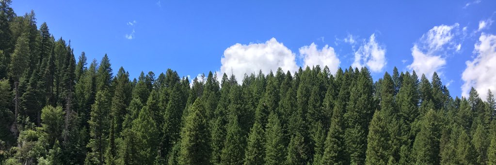 hannahkeller22's profile banner image