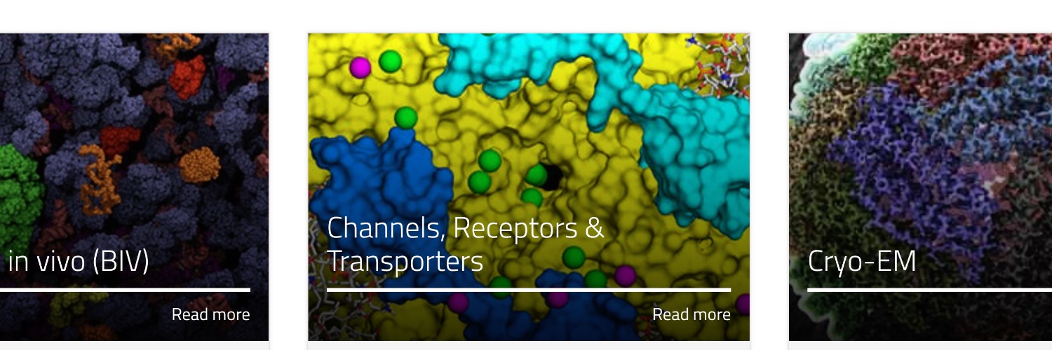 Channels Receptors & Transporters Subgroup's banner