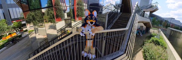 raitobimu_i Profile Banner