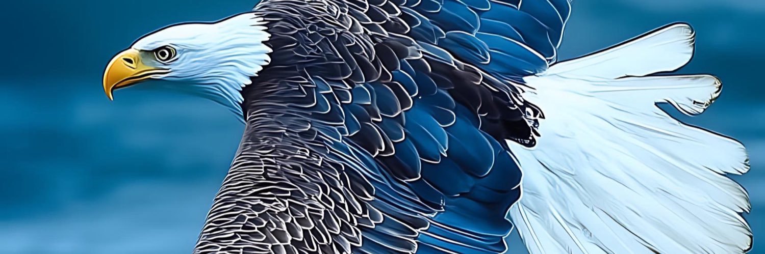 OAlademerin's profile banner image