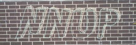 N.N.U.P. banner