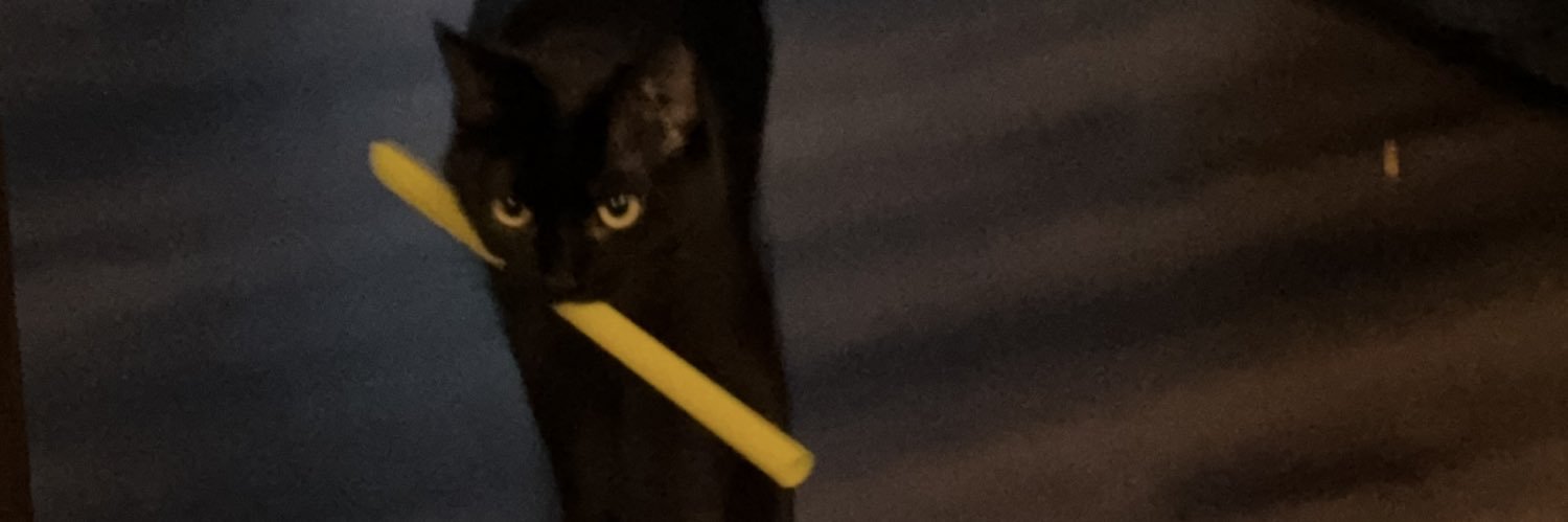 ohernanna's profile banner image