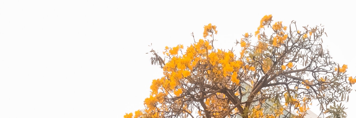 _seocholate's profile banner image