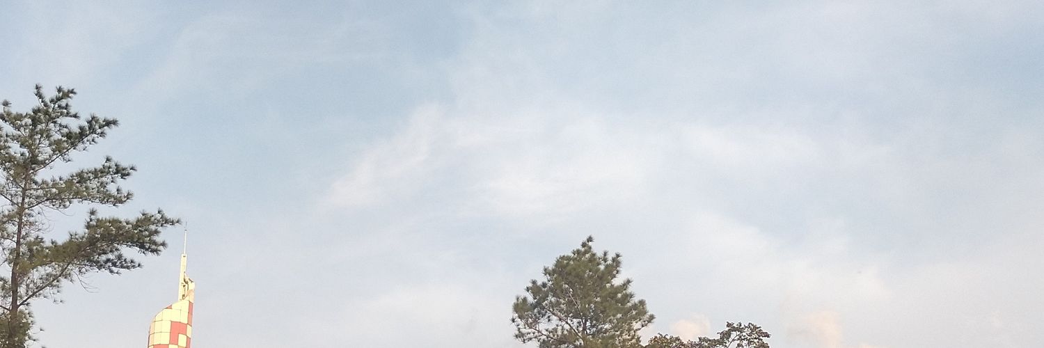 ling 🪼 banner