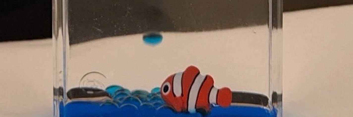 MaruJinDay's profile banner image