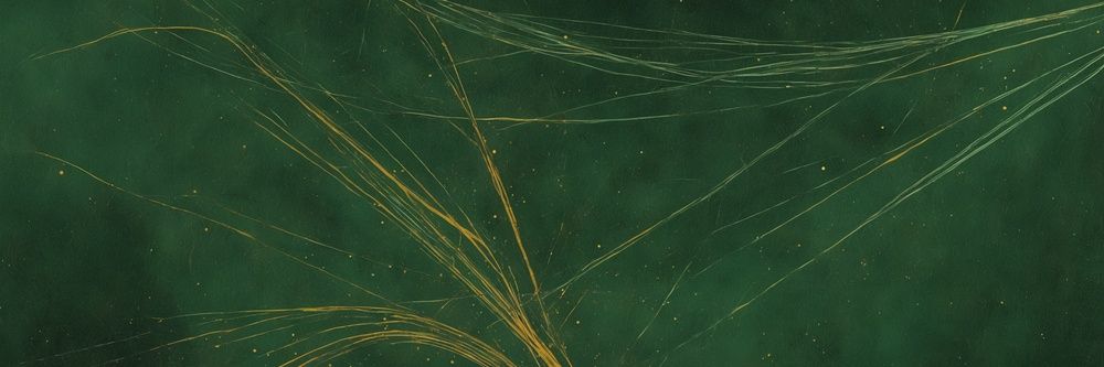 Avi Crypto's banner