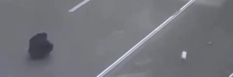 زن زندگی آزادیnumb banner