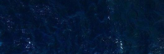 meretricious.ingenue banner