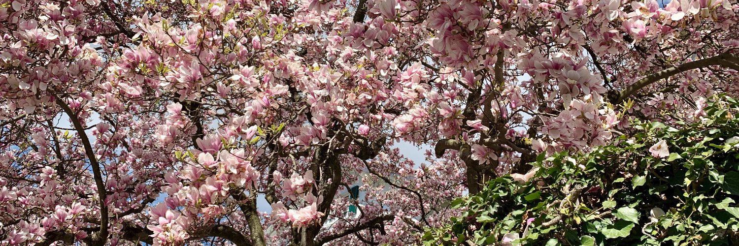 Leslie Farnsworth banner