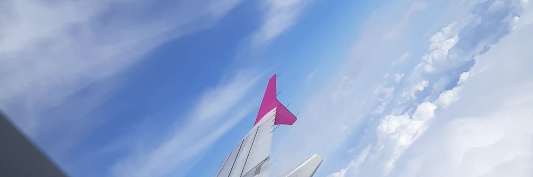 physiolostry's profile banner image