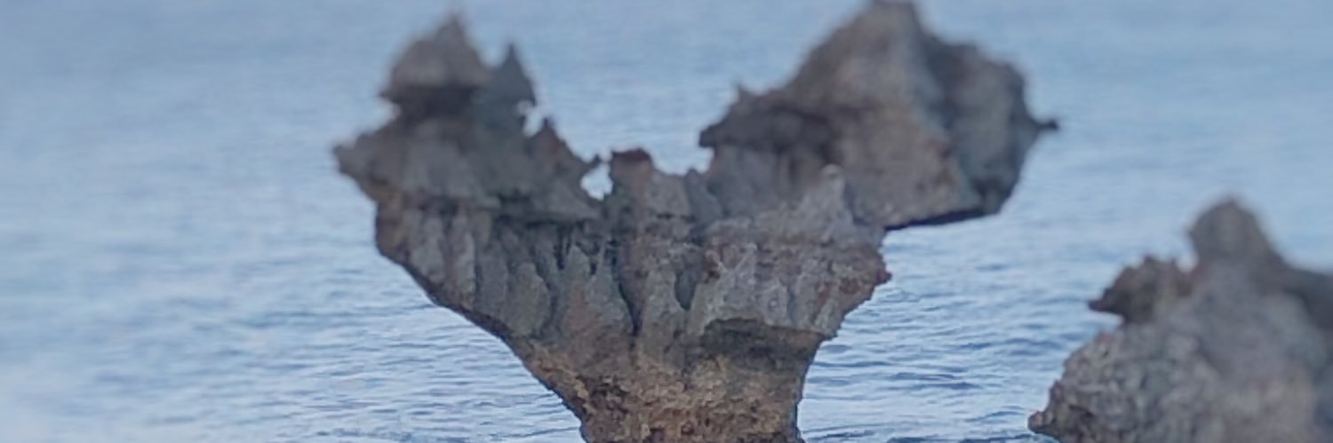 1192iikuni's profile banner image