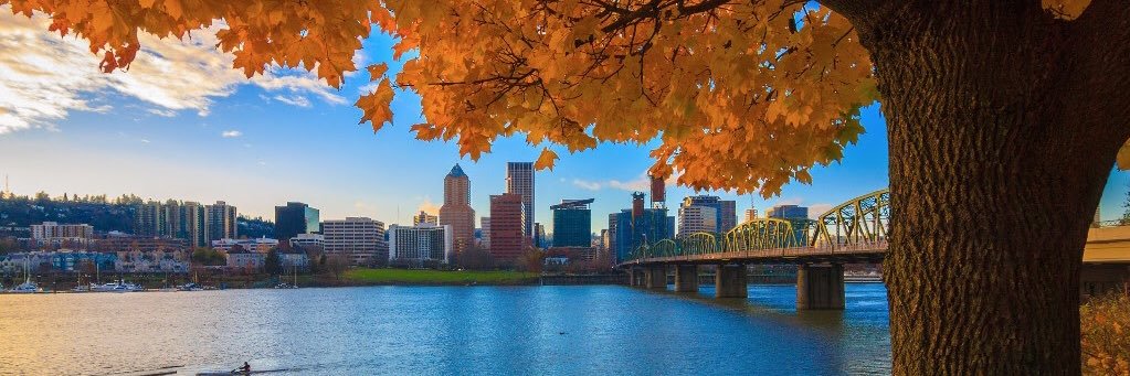 Scott Nichols banner