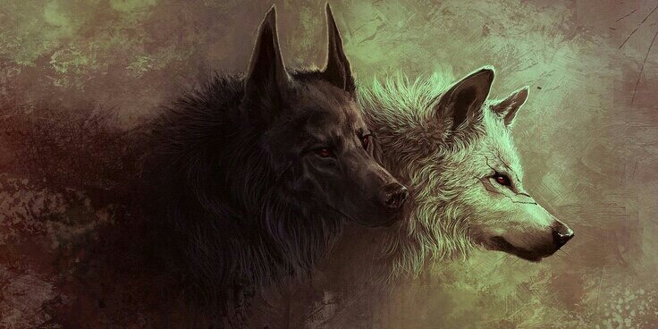 gusbobb92's profile banner image
